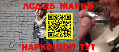 стаф Берёзовский