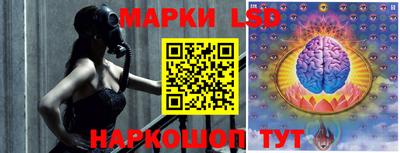 стаф Берёзовский